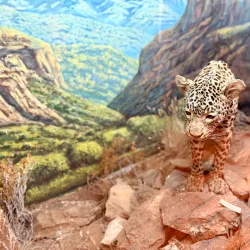 CP Nel Museum - Oudtshoorn