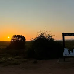Meerkat Adventures - Oudtshoorn