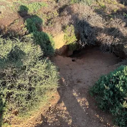 Meerkat Adventures - Oudtshoorn