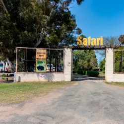 Ostrich Farms - Oudtshoorn