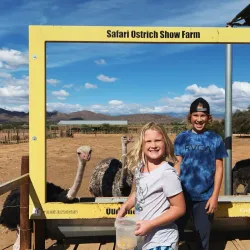 Ostrich Farms - Oudtshoorn