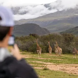 Swartberg Nature Reserve - Oudtshoorn