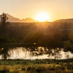 Swartberg Nature Reserve - Oudtshoorn
