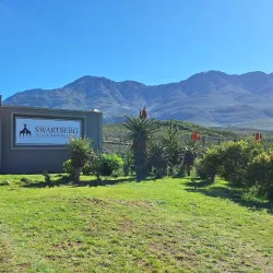 Swartberg Nature Reserve - Oudtshoorn