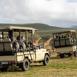 Swartberg Nature Reserve - Oudtshoorn