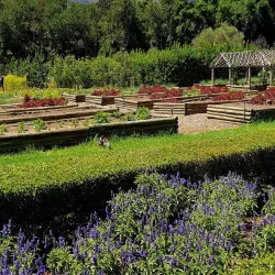 Boschendal Wine Estate - Paarl