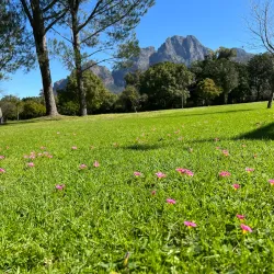 Boschendal Wine Estate - Paarl