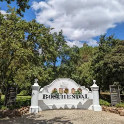 Boschendal Wine Estate - Paarl
