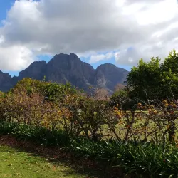 Boschendal Wine Estate - Paarl