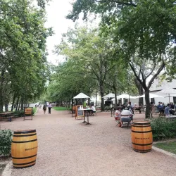 Boschendal Wine Estate - Paarl