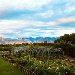 Boschendal Wine Estate - Paarl