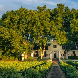 Nederburg Wine Estate - Paarl