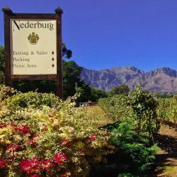 Nederburg Wine Estate - Paarl