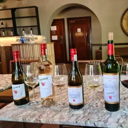 Nederburg Wine Estate - Paarl