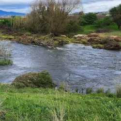 Paarl Golf Club - Paarl