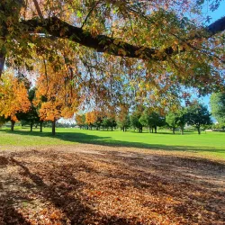 Paarl Golf Club - Paarl