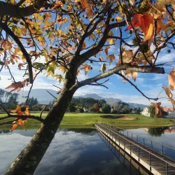 Paarl Golf Club - Paarl
