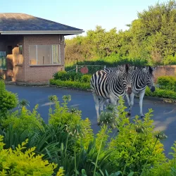 Albert Falls Dam and Nature Reserve - Pietermaritzburg