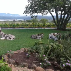 Albert Falls Dam and Nature Reserve - Pietermaritzburg