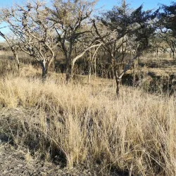 Albert Falls Dam and Nature Reserve - Pietermaritzburg