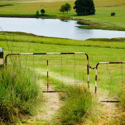 Midlands Meander - Pietermaritzburg