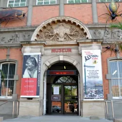 Natal Museum - Pietermaritzburg