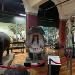 Natal Museum - Pietermaritzburg