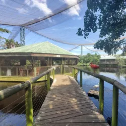 Birds of Eden - Plettenberg Bay