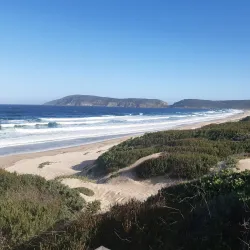 Plettenberg Bay Beach - Plettenberg Bay