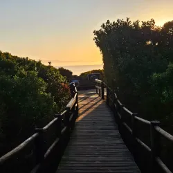 Plettenberg Bay Beach - Plettenberg Bay
