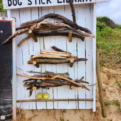 Plettenberg Bay Beach - Plettenberg Bay