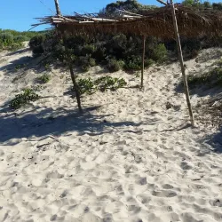 Plettenberg Bay Beach - Plettenberg Bay