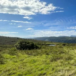 Plettenberg Bay Game Reserve - Plettenberg Bay