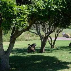 Plettenberg Bay Golf Club - Plettenberg Bay