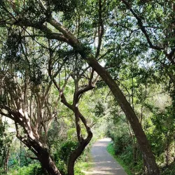 Plettenberg Bay Golf Club - Plettenberg Bay