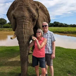 The Crags Elephant Sanctuary - Plettenberg Bay