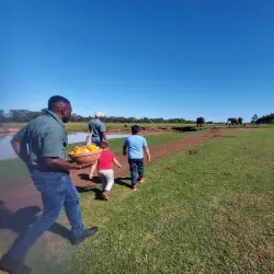 The Crags Elephant Sanctuary - Plettenberg Bay