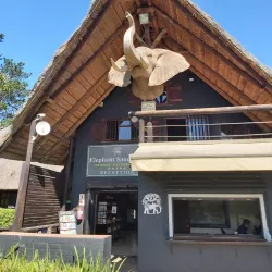 The Crags Elephant Sanctuary - Plettenberg Bay