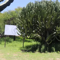 Bakone Malapa Northern Sotho Open-Air Museum - Polokwane