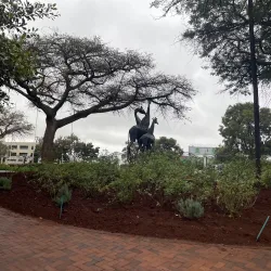 Civic Centre - Polokwane