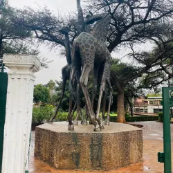 Civic Centre - Polokwane