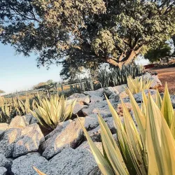 Limpopo National Botanical Garden - Polokwane