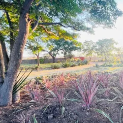 Limpopo National Botanical Garden - Polokwane