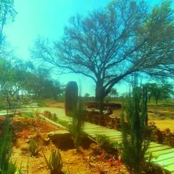 Limpopo National Botanical Garden - Polokwane