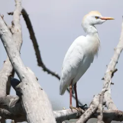 Polokwane Bird Sanctuary - Polokwane