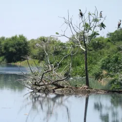 Polokwane Bird Sanctuary - Polokwane