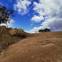 Polokwane Game Reserve - Polokwane