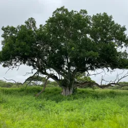 Polokwane Game Reserve - Polokwane