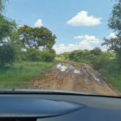 Polokwane Game Reserve - Polokwane