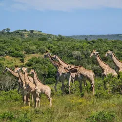 Sundays River Mouth Nature Reserve - Port Alfred
